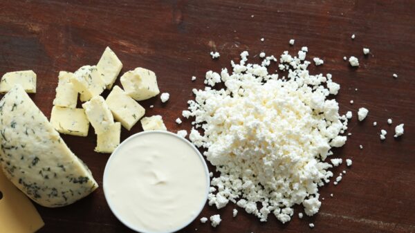 Cotija Cheese Pregnancy