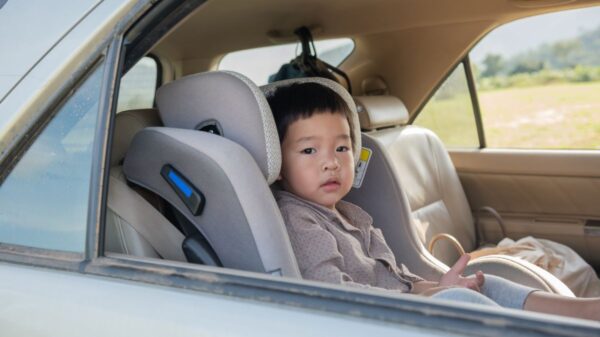 Orbit Baby Car Seat