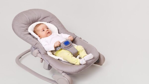 Best baby lounger