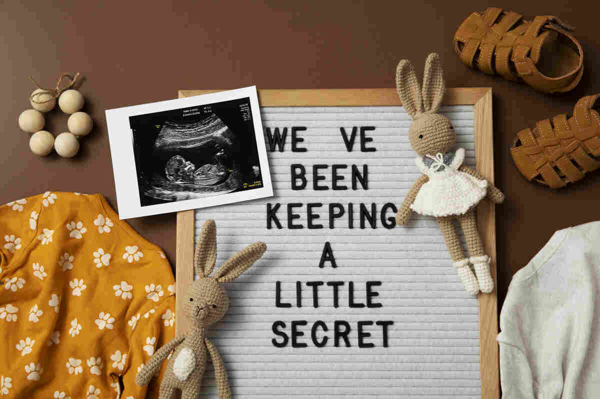 Twin Pregnancy Announcement | 12+ Ideas That Are Double the Fun 4 Double Miracles We Asked for a Miracle We Got Two