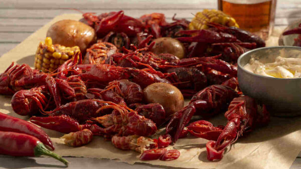 Can You Eat Crawfish While Pregnant