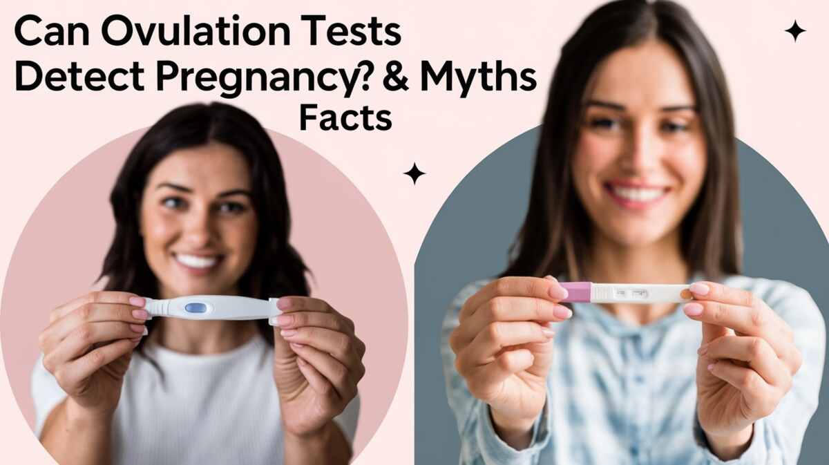 Can Ovulation Tests Detect Pregnancy
