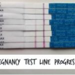 Pregnancy Test Line Progression: How to Interpret Results 6 Pregnancy Test Line Progression