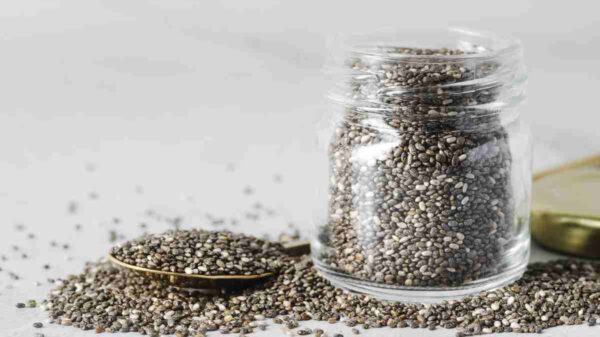 Are Chia Seeds Safe to Eat During Pregnancy? Benefits, Risks and How to Use Them 9 Chia Seeds During Pregnancy
