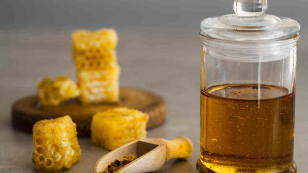 Is Honey During Pregnancy